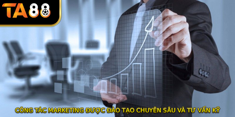 Công tác marketing được đào tạo chuyên sâu và tư vấn kỹ