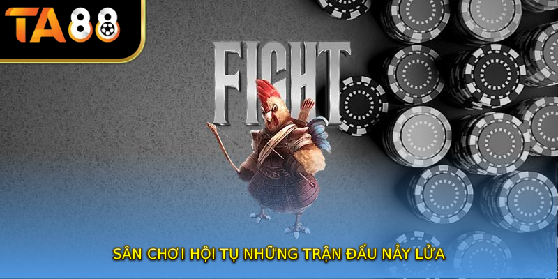 Sân chơi hội tụ những trận đấu nảy lửa