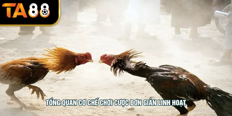 Tổng quan cơ chế chơi cược đơn giản linh hoạt