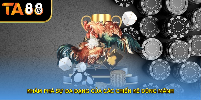 Khám phá sự đa dạng của các chiến kê dũng mãnh