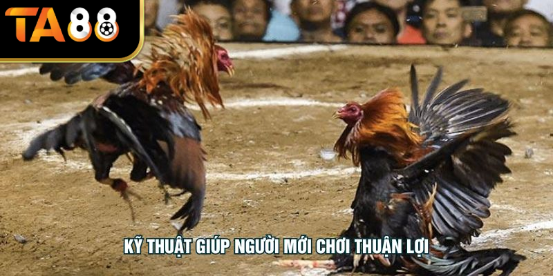 Kỹ thuật giúp người mới chơi thuận lợi